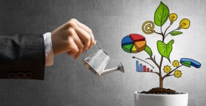 ما علاقة القدرة المالية بالاستدامة؟